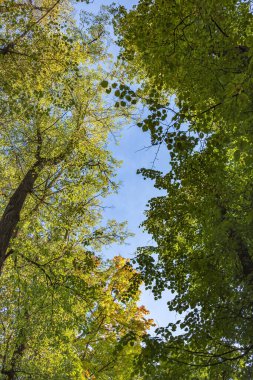 Gündüz vakti bulutlu mavi gökyüzü