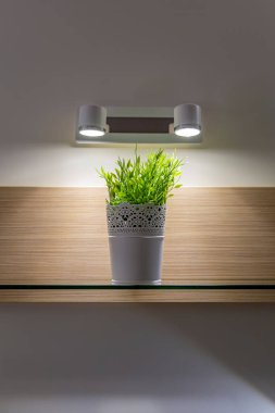 Odanın ve dairenin iç dekorunda çok güzel bir plastik fabrikası var.