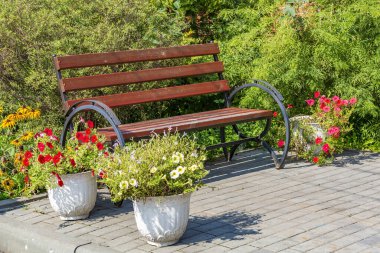 Güneşli yaz gününde, bir şehir parkında ağaçtan yapılmış bir bank.