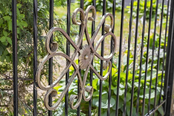 Wrought Iron Fence City Park Gold Painted Pattern — Stock Photo, Image