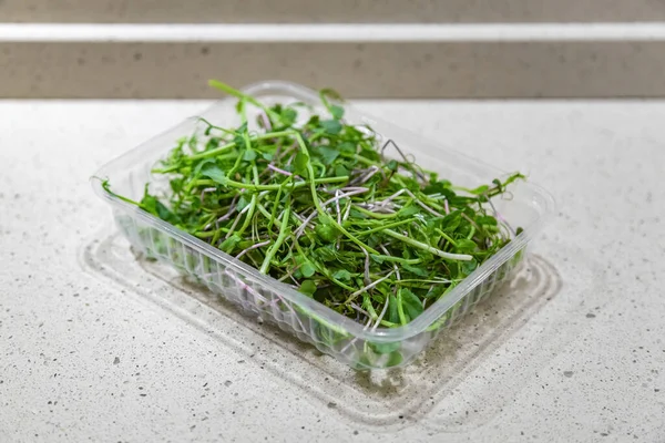 Microgreens Frescos Brilhantes Uma Bandeja Plástica Transparente Usado Saladas Sopas — Fotografia de Stock