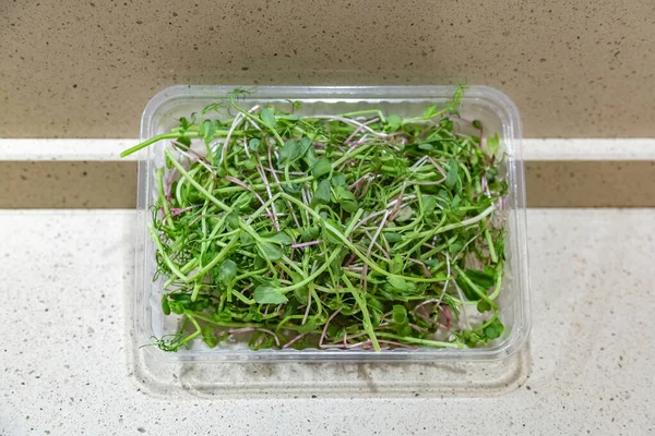 Microgreens Frescos Brilhantes Uma Bandeja Plástica Transparente Usado Saladas Sopas — Fotografia de Stock