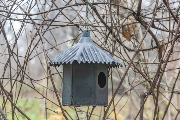 Alimentador Pajareras Hecho Mano Colgado Árbol Parque Otoño — Foto de Stock