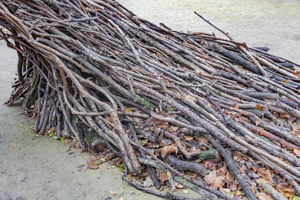 Die Idee Aus Trockenen Zweigen Herbstlichen Garten Oder Hinterhof Eine — Stockfoto