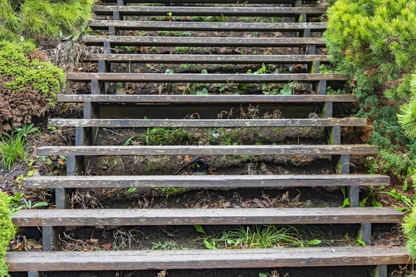 Частина Екологічної Стежки Сходами Вздовж Схилу Хвойного Пагорба Громадському Міському — стокове фото