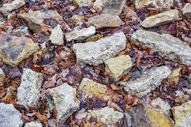 Bir inşaat sahasında düşen sonbahar yapraklarıyla karıştırılmış kaba taşlar yığını.