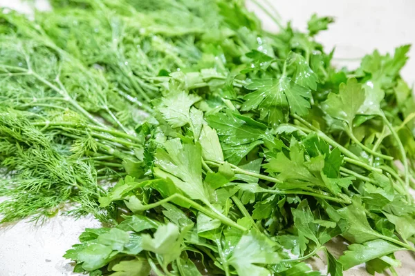 Cachos Recém Colhidos Endro Verde Salsa São Secos Cozinha Para — Fotografia de Stock