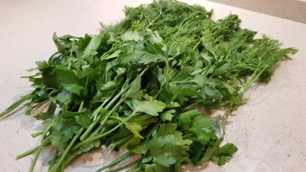 Freshly Picked Bunches Green Dill Parsley Dried Kitchen Food Supplement — Stock Video