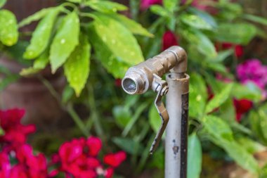 Bahçedeki ya da bahçedeki çiçekleri sulamak için kullanılan eski metal musluk.