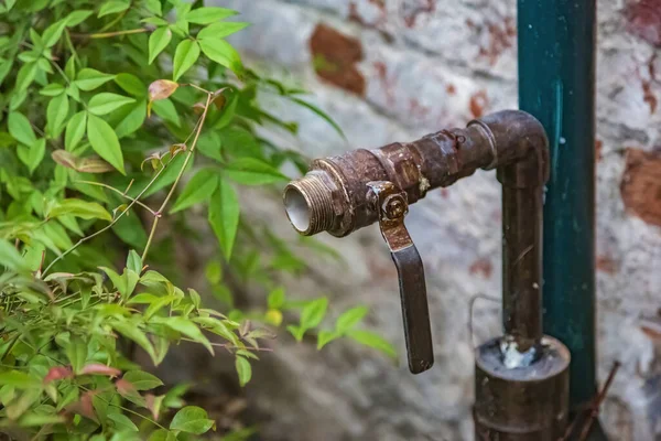 Old Metal Watering Faucet Irrigating Plants Flowers Garden Backyard — Foto Stock