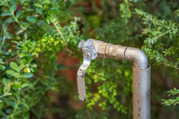 Old Metal Watering Faucet Irrigating Plants Flowers Garden Backyard — Foto Stock