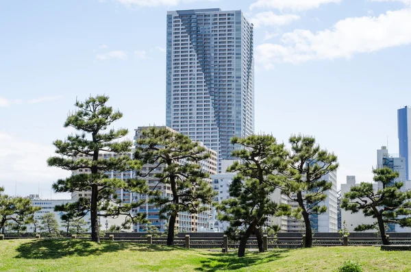 Rascacielos y jardín japonés en Tokio Japón — Foto de Stock