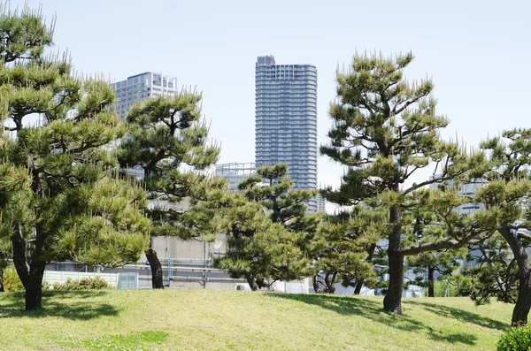 Rascacielos y jardín japonés en Tokio Japón — Foto de Stock