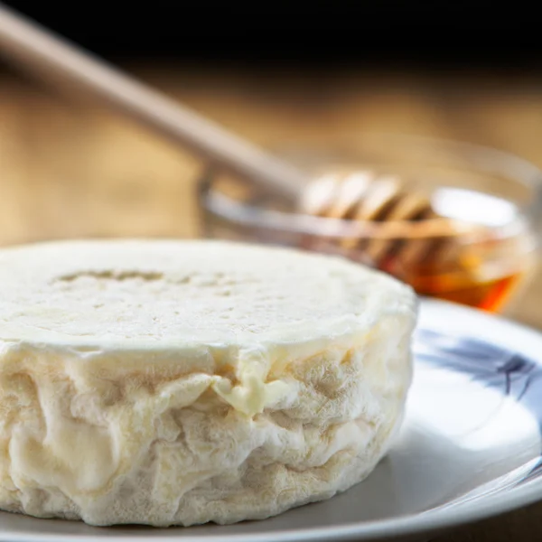Italian fresh goat cheese and honey — Stock Photo, Image