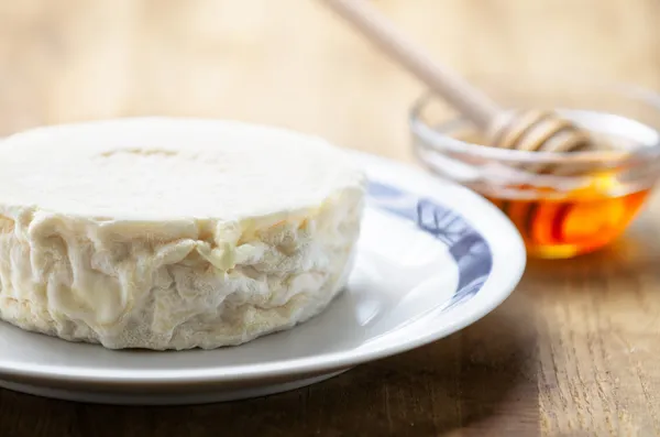 Italian  fresh goat cheese — Stock Photo, Image