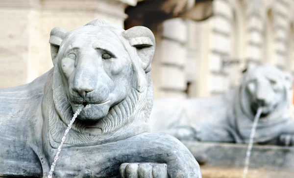 Fontaine en forme de lion en rome — Photo