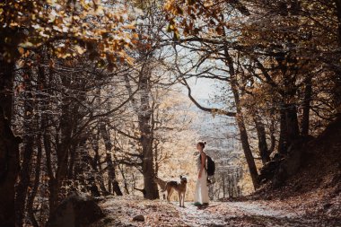 Sırt çantalı genç bir kadın ormanda iki köpekle yürüyor. Sonbahar.