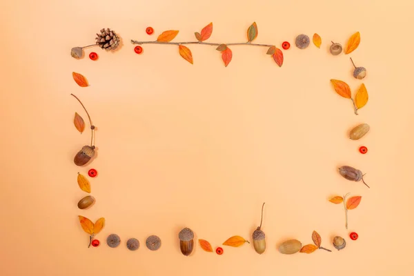 autumn frame composition on orange background, easy nature craft for kids