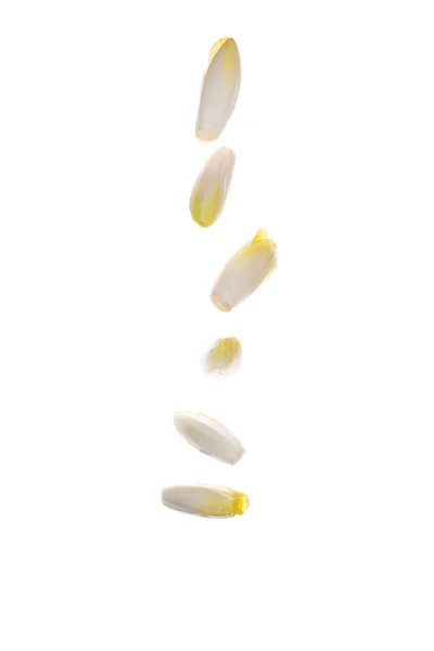 Сирі органічні кінцівки, салат цикорій — стокове фото