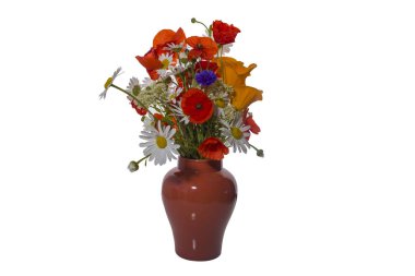 Vazodaki yabani çiçekler beyaza izole edilmiş. 