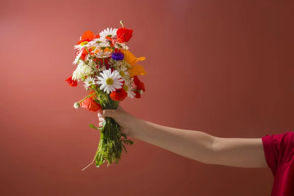 Holding the bouquet of wildflowers, coral color background — Zdjęcie stockowe