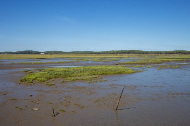 Dalgalar düşük panoramik manzara, yaz manzarası, kil kıyısı