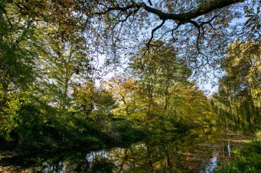 Krefeld - Suyun üzerinde yansımaları olan sonbahar rengi ve izlenimleri olan bir gölete bakın, Kuzey Ren Vestfalyası, Almanya, 28.10.2021