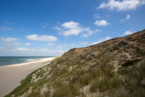 Sylt Vista Para Caminhadas Decente Direção Praia Sylt Alemanha 2022 — Fotografia de Stock