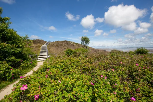 Sylt Vista Para Escada Madeira Braderup Sylt Alemanha 2022 — Fotografia de Stock