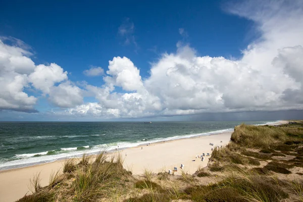 Sylt Pohled Travnatých Dun Plážová Křesla Útesu Kampen Modrou Oblohou — Stock fotografie