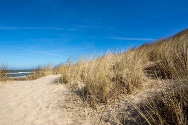 Domburg - Blue Sky, Zeeland, Hollanda, 20.03.2018 ile Grass-Dunes 'dan Beach' e bakın