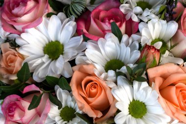 Romantik çiçek aranjmanı. Kasımpatı, güller. Çiçek arkaplanı. Düz konum görünümü, kopyalama alanı, yakın çekim