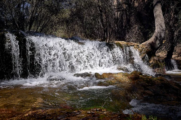 Güneşli bir günde ormanda şeffaf bir şelale. Sorunlu su, sahildeki ağaçlar, cennet manzarası..