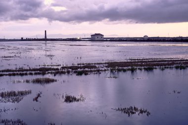 Bulutlar için pirinç tarlasını su bastı. Albufera Valencia