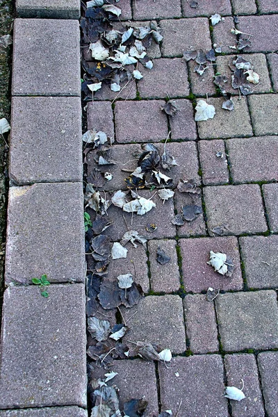 Stone path with fallen autumn leaves.Horizontal and vertical — Foto Stock