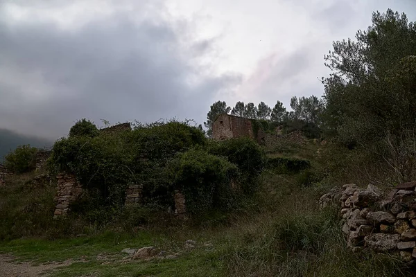 Jinquer Castellon Spanyolország Házak Romjai Egy Elhagyatott Falu Közepén Növényzet — Stock Fotó