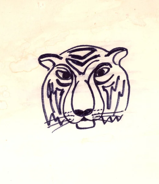 Grafika Głowy Tygrysa Szkic Czarno Biały Wysokiej Jakości Ilustracja — Zdjęcie stockowe