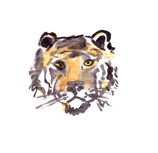 Tiger Head Watercolor Drawing Oriental Horoscope Year 2022 High Quality — Stock Photo, Image