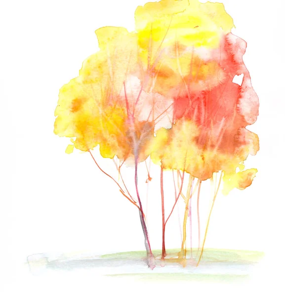 Arbres Automne Sur Fond Blanc Aquarelle Dessin Espace Copie Illustration — Photo