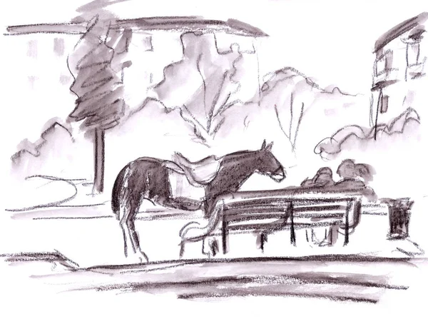Cavallo Sul Viale Della Città Disegno Grafico Monocromatico Schizzo Viaggio — Foto Stock