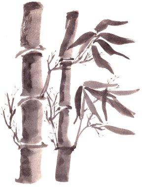 Bambu hortumları ve yaprakları tek renkli siyah beyaz Çin tarzı mürekkep çizimleri. Yüksek kaliteli illüstrasyon