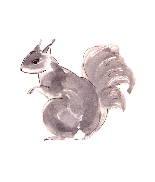 Esquilo Monocromático Desenho Preto Branco Sobre Fundo Branco Ilustração Alta — Fotografia de Stock