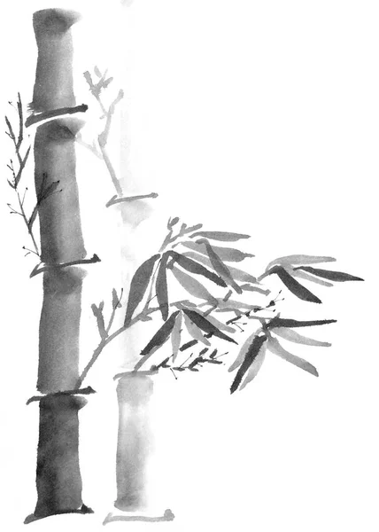 Bambou Troncs Feuilles Monochrome Noir Blanc Dessin Encre Style Chinois — Photo