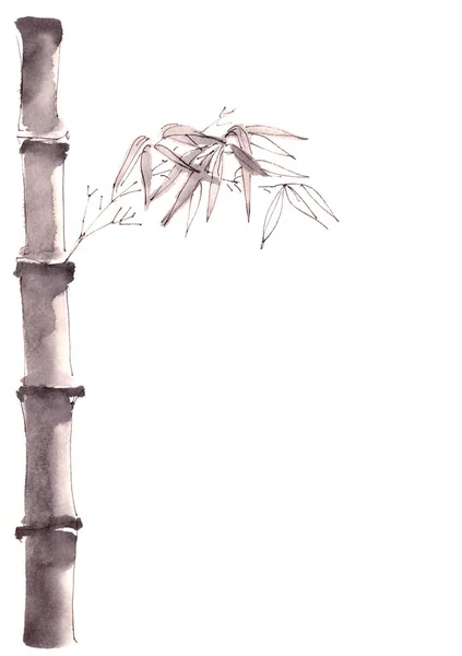 Bambu Gövdeleri Yaprakları Tek Renkli Siyah Beyaz Çin Tarzı Mürekkep — Stok fotoğraf