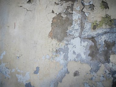 Soyut beton arka plan. Tek renkli desenli gri ve beyaz arkaplan