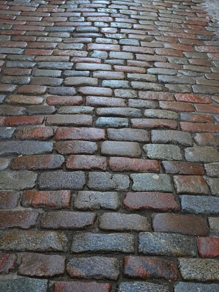 Pavimento húmedo pavimentado con piedra multicolor, enfoque selectivo — Foto de Stock