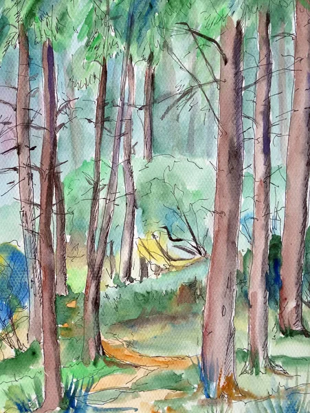 Υδατογραφία τοπίο κωνοφόρων δάσος με ένα μονοπάτι, ταξιδιωτικό σκίτσο Εικόνα Αρχείου