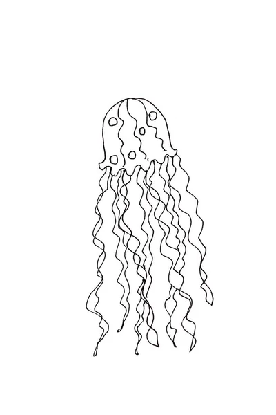 Medusas de mar blanco y negro línea de dibujo de arte — Foto de Stock