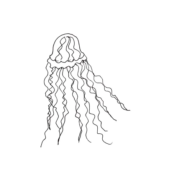 Mořská medúza černá a bílá grafická kresba — Stock fotografie