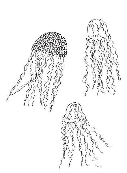 Set of sea jellyfish black and white line art drawing — Stockfoto